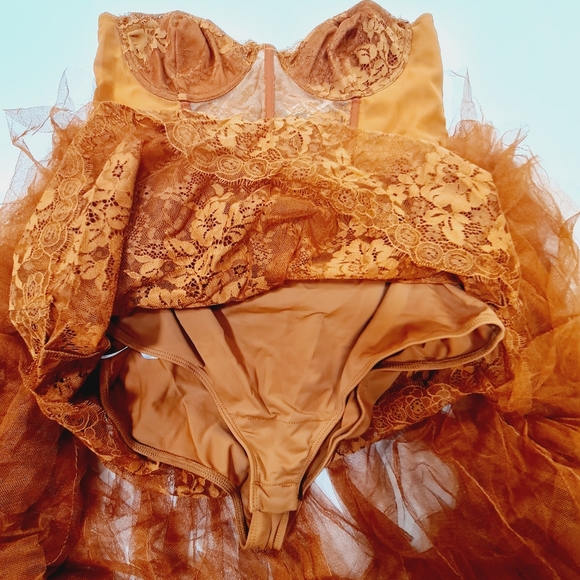 For Love & Lemons x REVOLVE Bustier Gown in Rust - Picture 5 of 13